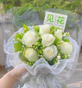 用花语向女朋友表达爱意，应该选择哪种花？