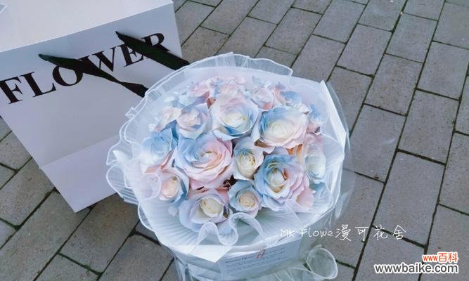 52朵人鱼姬玫瑰花语有何含义？人鱼姬玫瑰代表了什么？