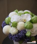 揭开乒乓菊花的神秘面纱 乒乓菊花的花语及意义