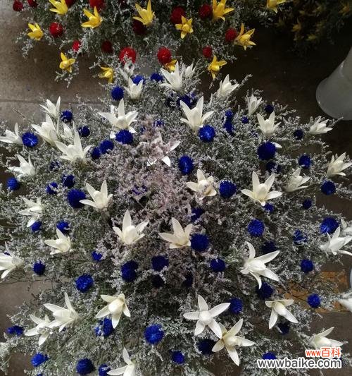 用花语传递爱意的神奇力量 以情人草的花语