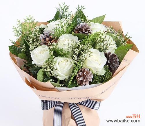 水晶草花语的深层寓意与启示 水晶草花语