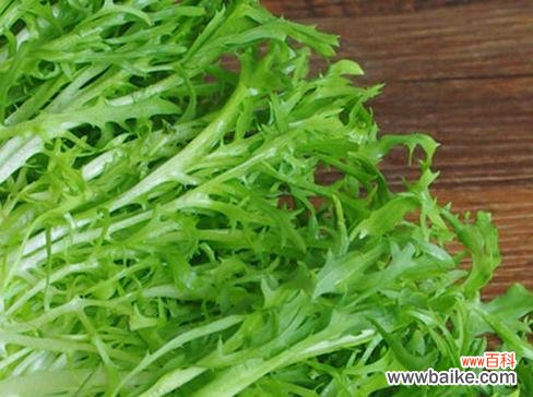 苦菊的花语是什么？苦菊代表了哪种情感或信息？