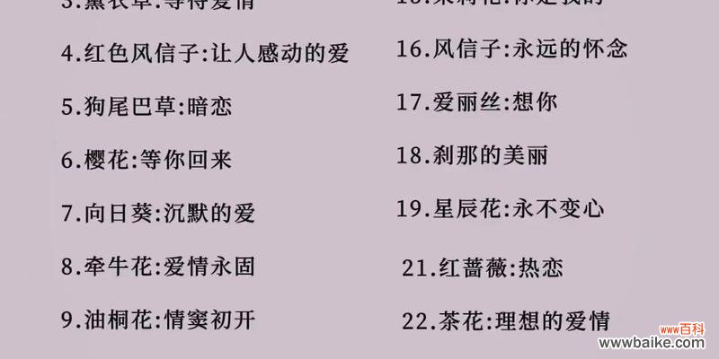 什么礼物的花语能让人感动到哭?这种花语背后的故事是什么?