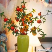 寓意幸福的盆栽植物及其特点 盆栽植物