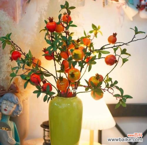 寓意幸福的盆栽植物及其特点 盆栽植物