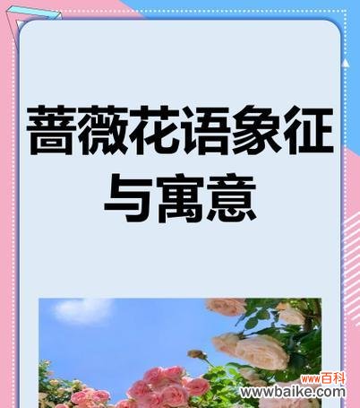 哪种花的花语特别唯美？如何用花语表达浪漫情感？