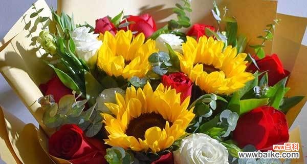 不谢的花花语是什么？送自己花有何意义？