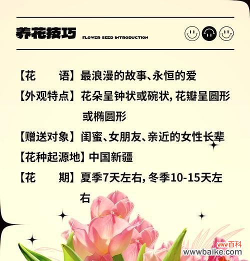 粉碗花的花语含义是什么?它象征着什么?