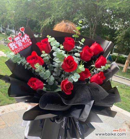 11朵红玫瑰传递了哪些情感？