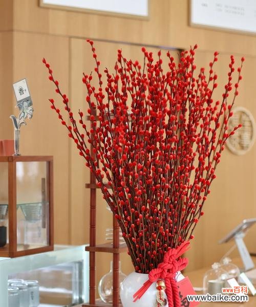 跨年时推荐哪种花及其花语？