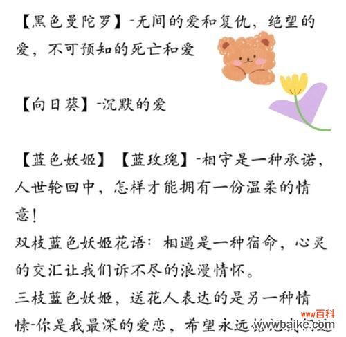 跨年时推荐哪种花及其花语？