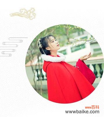 魔法披风的花语是什么含义？