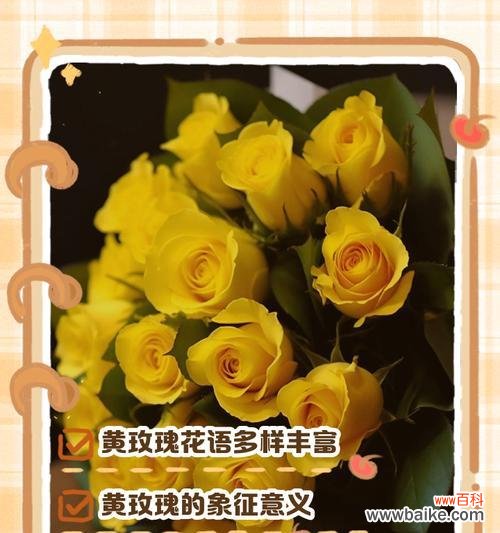金属玫瑰花的花语是什么？它象征着什么？