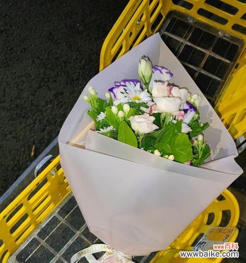 韩国花店中哪种花最受欢迎？它的花语是什么？