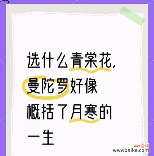 曼陀罗花在佛教中的花语是什么？