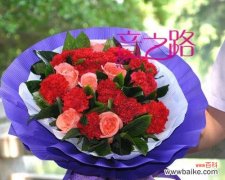 探寻以香石竹的花语与人生哲理 以香石竹的花语及其寓意