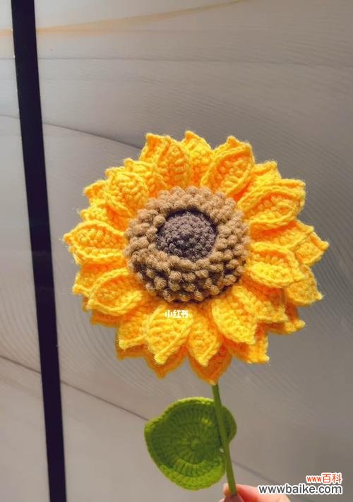 探索向日葵的象征意义与精神内涵 向日葵的花语寓意是什么