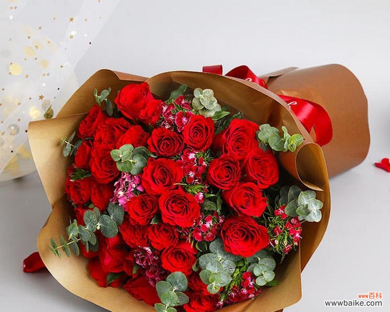 红色玫瑰花的含义代表着什么？红色玫瑰的花语是什么？