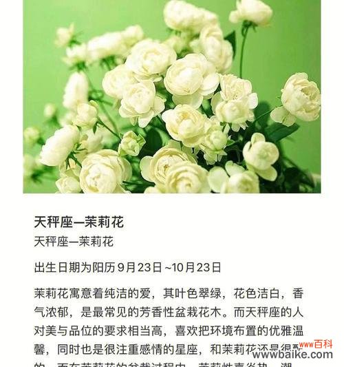 十二星座双鱼花语代表什么含义?