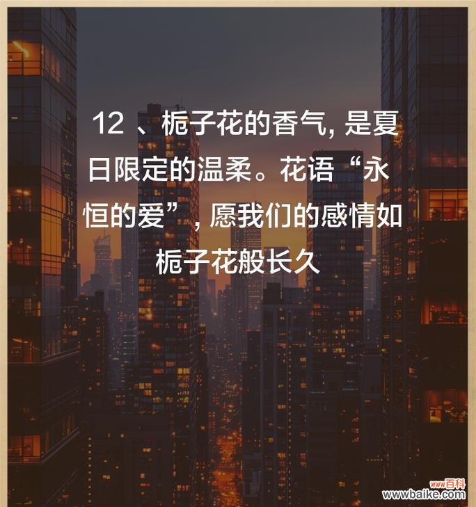青栀子花语代表什么?如何用青栀子花语表达祝福?