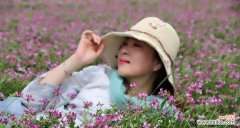 探索紫云英花语的深层涵义 紫云英花语的意义与魅力