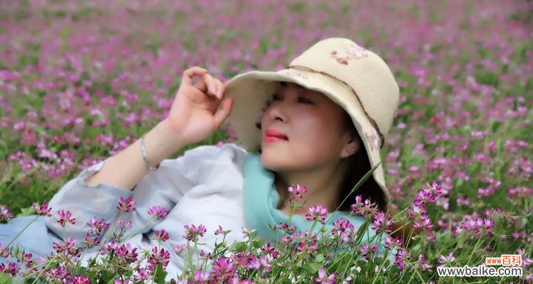 探索紫云英花语的深层涵义 紫云英花语的意义与魅力