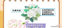 传递温馨与美好的茉莉花 茉莉的花语