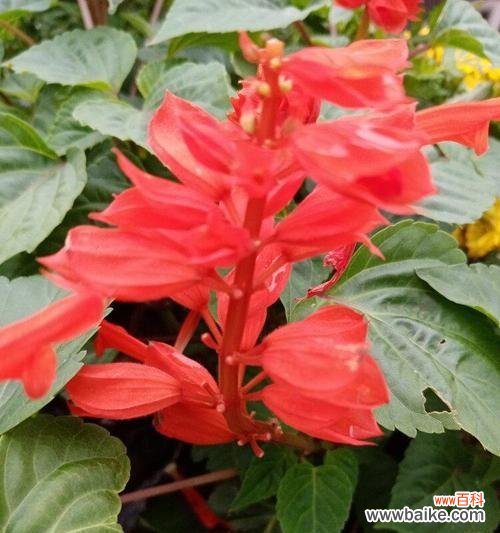 唤醒希望的力量 绽放生机