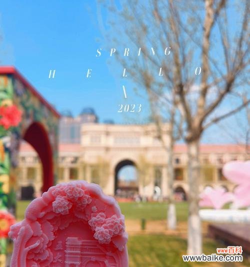 进入崭新的爱情应该选择什么花语?进入崭新的爱情花语的意义是什么?