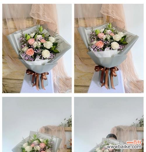 有色白玫瑰的寓意是什么？