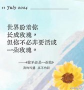 “不是平凡”的花语有何深意？它传递了怎样的信息？
