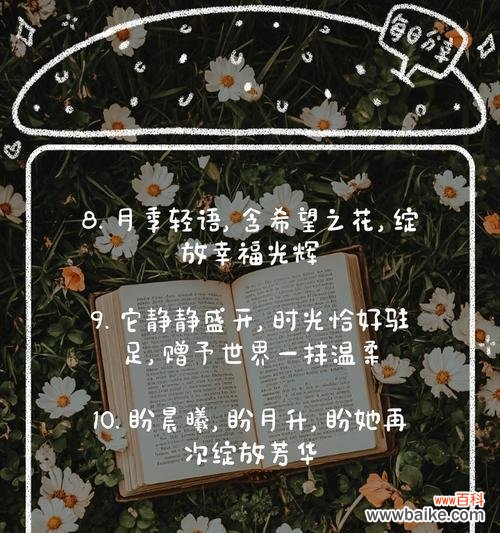 浪漫满怀花语代表什么？