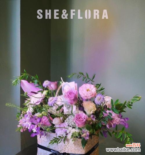 怂丈母娘的花语是什么？这种说法有何含义？