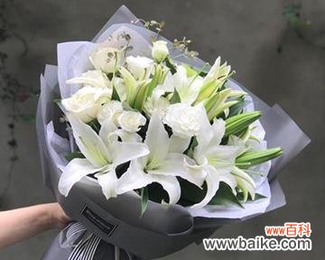 怂丈母娘的花语是什么？这种说法有何含义？