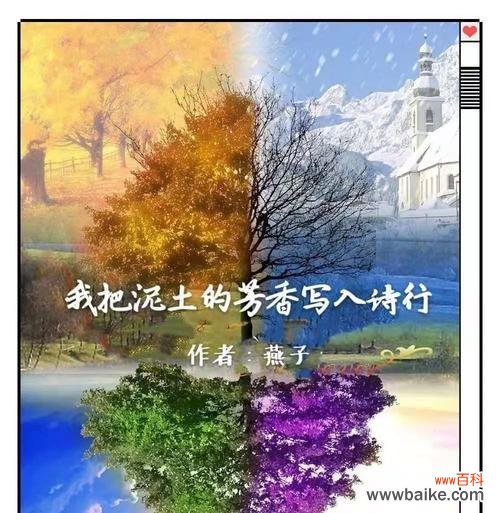 稻谷花语是什么意思网络用语?稻谷在花语中象征着什么?