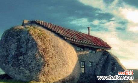 嚏根草的传说与寓意，解读其神秘的花语 嚏根草