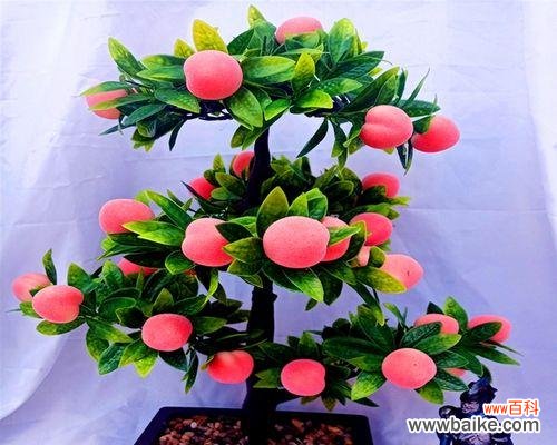 探寻桃子的深层内涵与象征意义 桃子之美