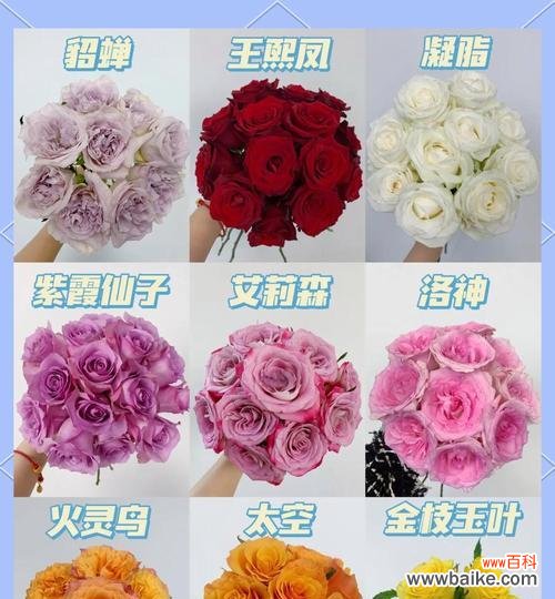 新人婚礼上应该选择哪种玫瑰？