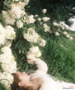 报纸绣球的花语和寓意有哪些？