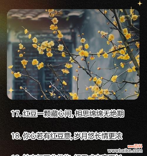 相思成灾的花语是什么？相思成灾的寓意有何特别之处？