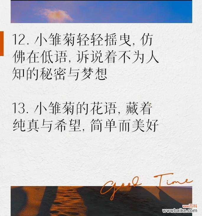 小雏菊礼物花语是什么？小雏菊作为礼物的含义是什么？