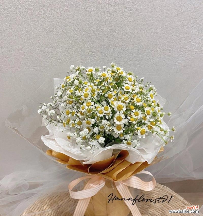 小雏菊礼物花语是什么？小雏菊作为礼物的含义是什么？