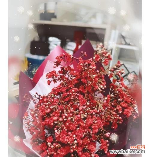 带有红梅的花语是什么意思?红梅在花语中代表什么?