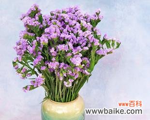 传递着爱与纪念的花朵 忘不了的勿忘我花