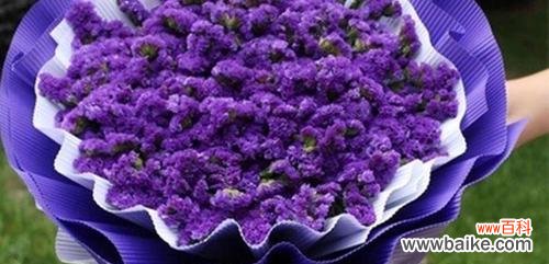 传递真挚情感的永恒花卉 勿忘我的花语和传说