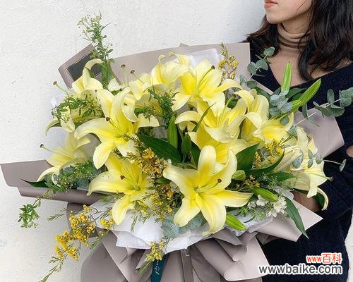 33支百合代表了哪些寓意?