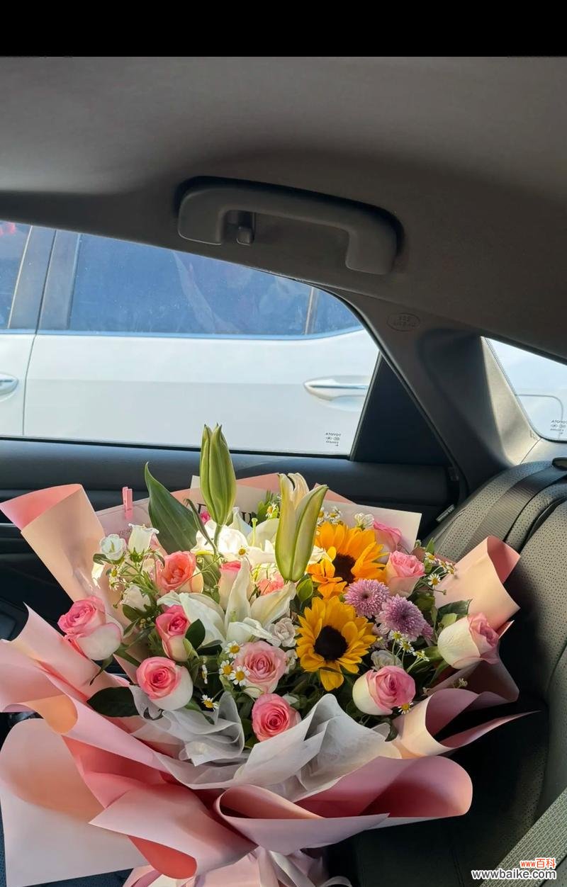 帝王花手捧鲜花寓意何在?