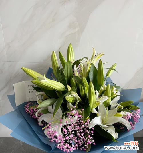 百合花送几朵才能传达不同的情感？ 百合花的寓意与送花数量的含义