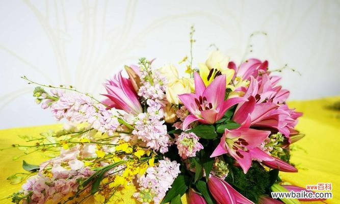 探索花语中的木本百合之美 木本百合的寓意与象征意义