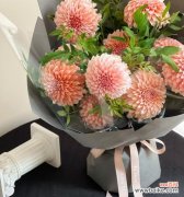 奶油桃子代表的花语有何含义？